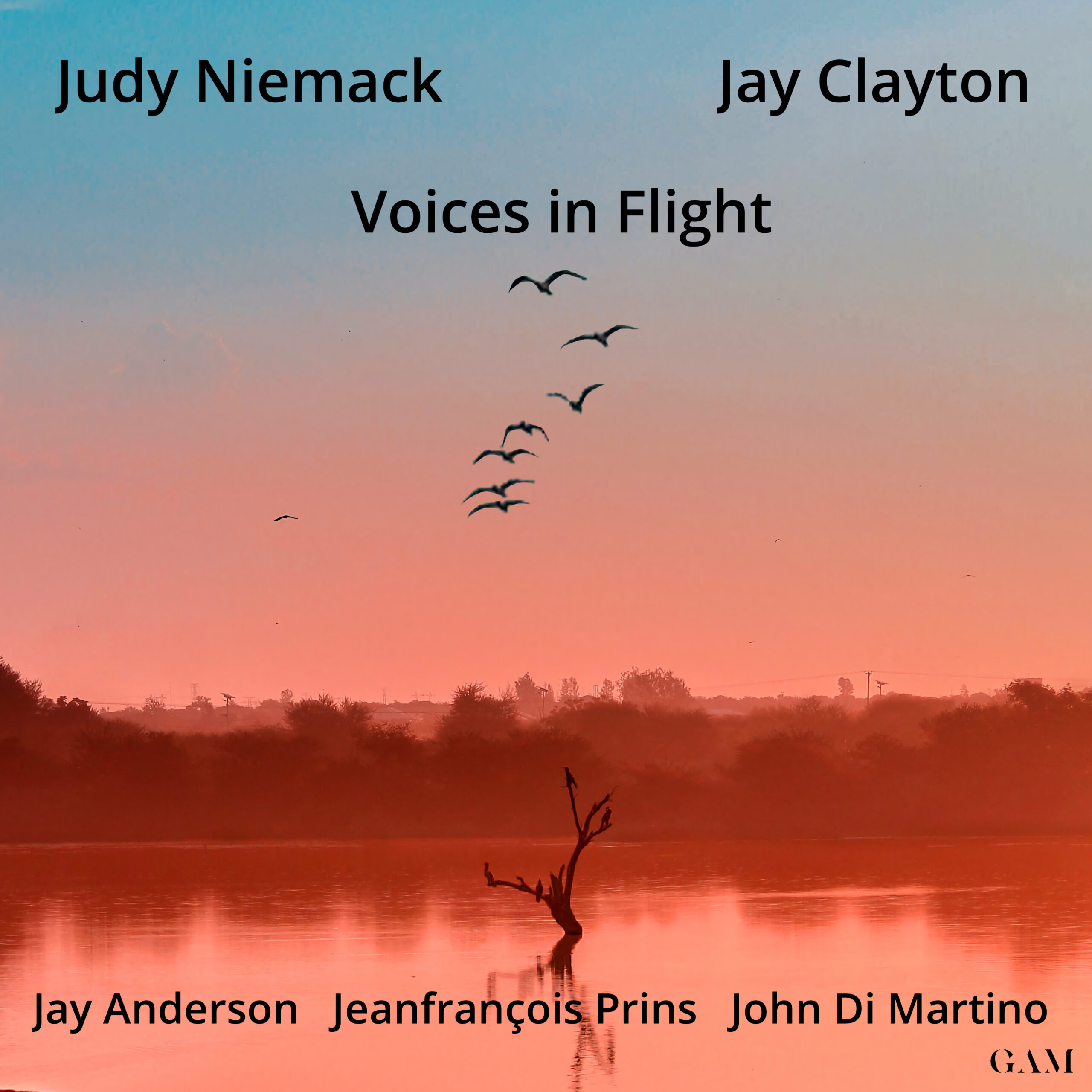 Album Voices in Flight - Judy Niemack - Jay Clayton - GAM Music